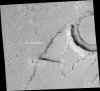 R1203203_2m_mid.jpg (84532 octets)
