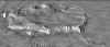 mars11_PIA02806_olympus.jpg (46074 octets)