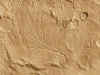 mars16_water_05l.jpg (144333 octets)