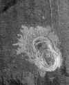 ven_10_PIA00473.jpg (116489 octets)