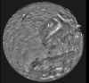 PIA01490.jpg (75295 octets)