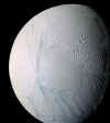 enceladus_cassini_PIA07800f.jpg (154192 octets)